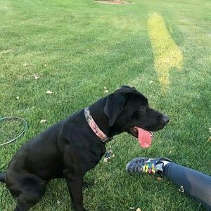 Meet your Posher, Andrea